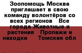 Зоопомощь.Москва приглашает в свою команду волонтёров со всех регионов - Все города Животные и растения » Пропажи и находки   . Томская обл.